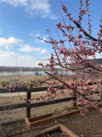 12536 Creekside Street, Firestone, CO 80504