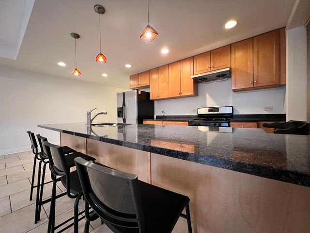 2615 S Lowe Avenue 1S, Chicago, IL 60616