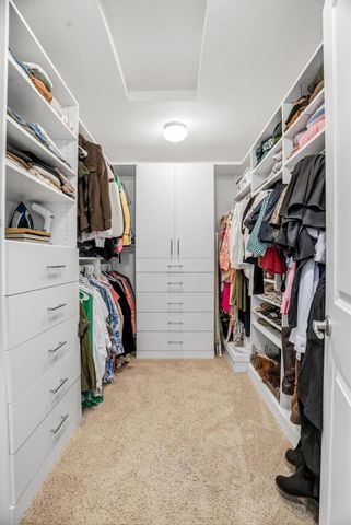 3915 Founders Path, Chaska, MN 55318