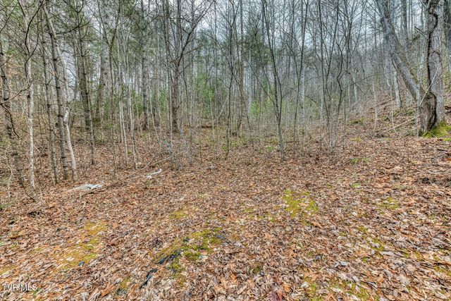 902 R D Campbell Road, Butler, TN 37640