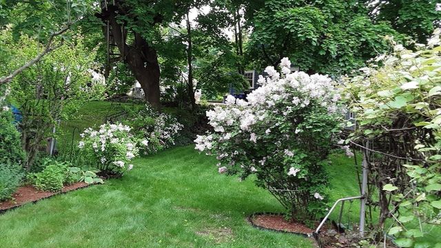 10 Dow Ave, Arlington, MA 02476