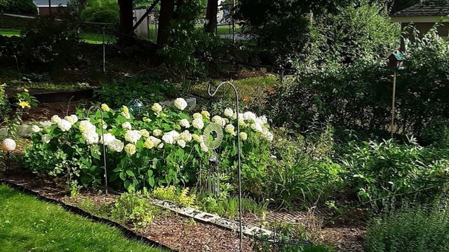 10 Dow Ave, Arlington, MA 02476