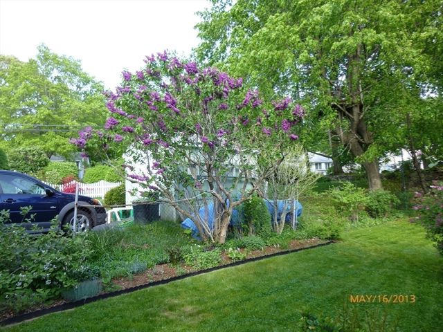 10 Dow Ave, Arlington, MA 02476