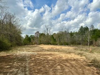 503 Courtney Rd., Purvis, MS 39475