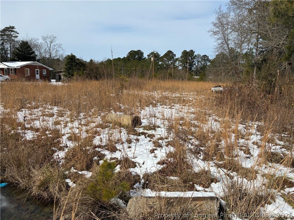 12636 NC 242 Highway S, Bladenboro, NC 28320 — photo 3