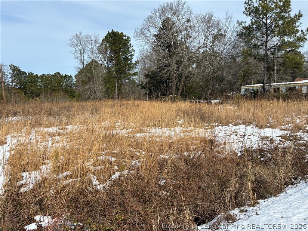 12636 NC 242 Highway S, Bladenboro, NC 28320 — photo 4