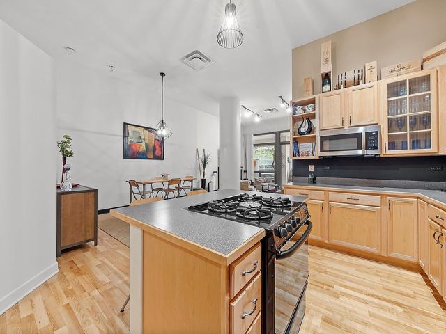 211 E Ohio Street 307, Chicago, IL 60611