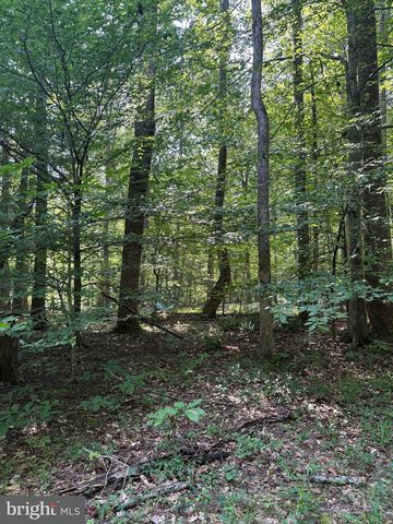 CAT CREEK RD, Mechanicsville, MD 20659