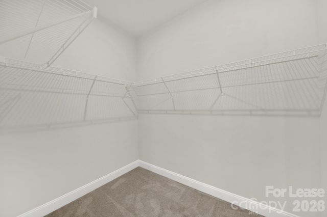 8004 Cedarsmith Court, Charlotte, NC 28217
