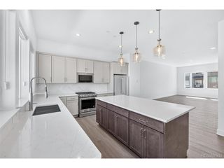 701 Saddle Dr, Erie, CO 80516