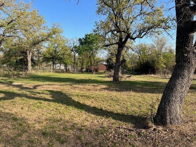 160 Oakwood Hills Drive, Paradise, TX 76073