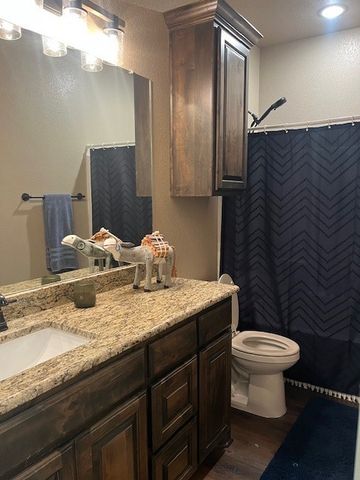 160 Oakwood Hills Drive, Paradise, TX 76073