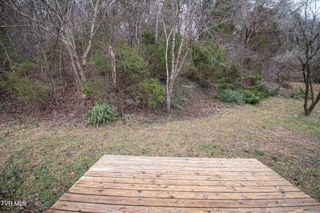 259 Adams Street, Blountville, TN 37617