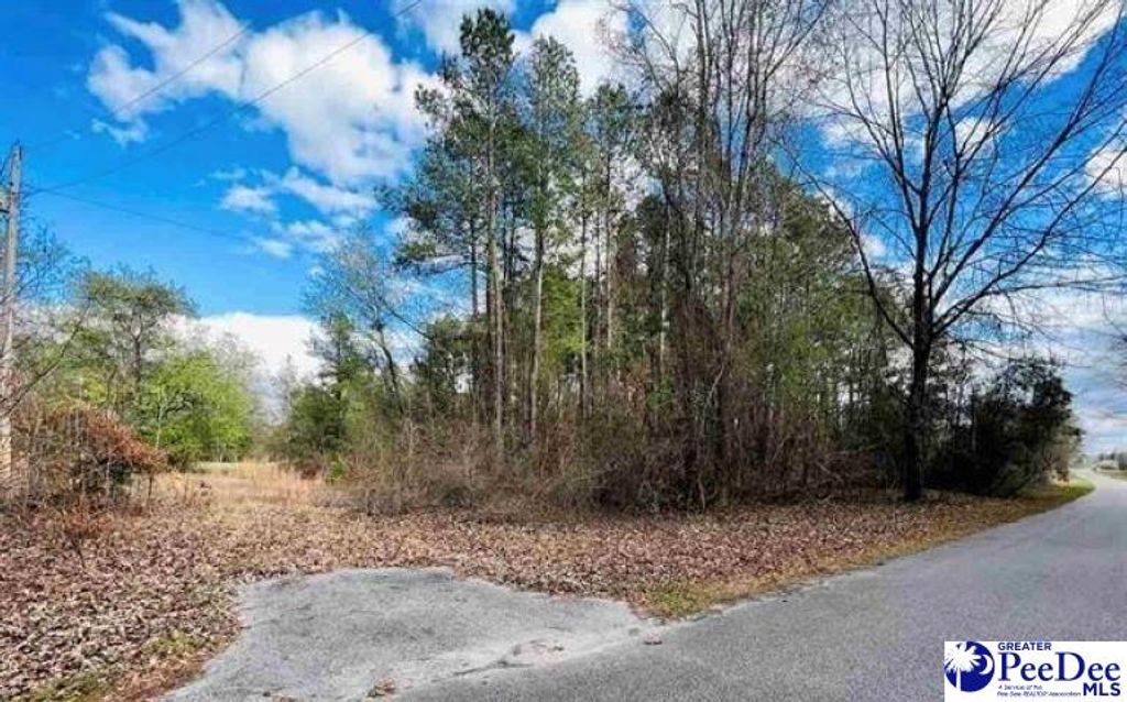 Lot 37 Berry Road, Latta, SC 29565