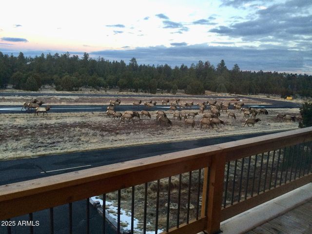 2344 Hellcat Circle, Overgaard, AZ 85933