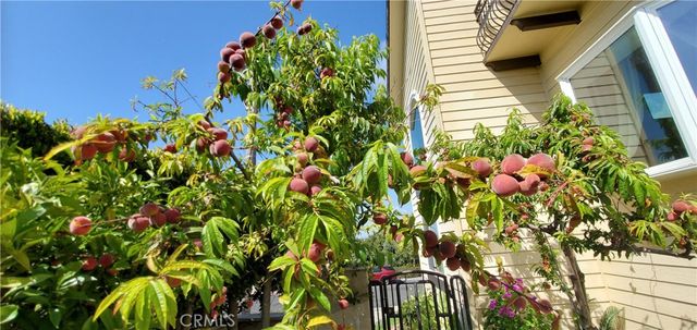 7901 Berger Avenue, Playa Del Rey, CA 90293