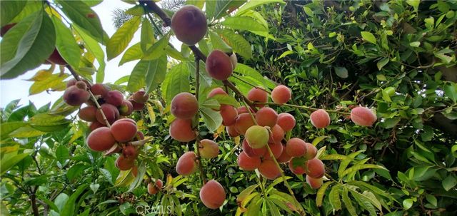 7901 Berger Avenue, Playa Del Rey, CA 90293