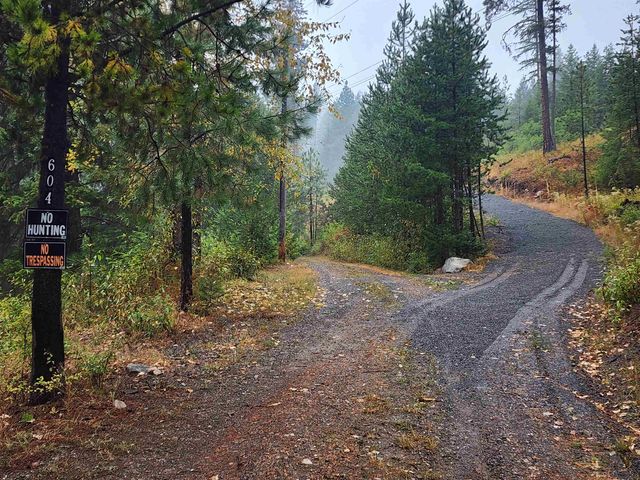 604 Deadman Creek Rd, Kettle Falls, WA 99141