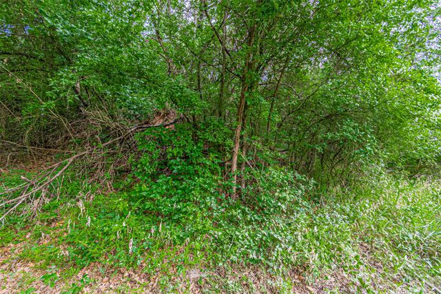 TBD River View Court, Granbury, TX 76048