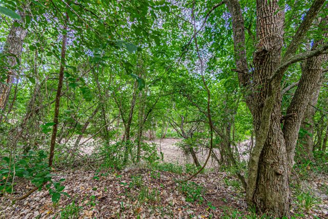 TBD River View Court, Granbury, TX 76048