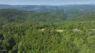 1405 Tamarack Court, Butler, TN 37640