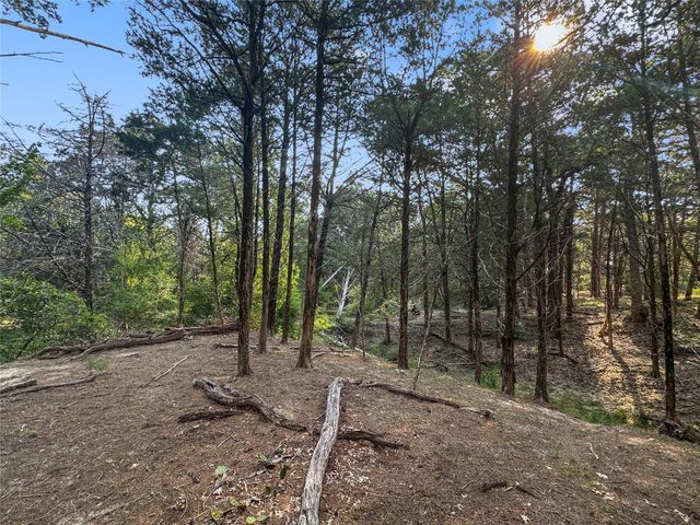 171 Flower Hill RD, Smithville, TX 78957