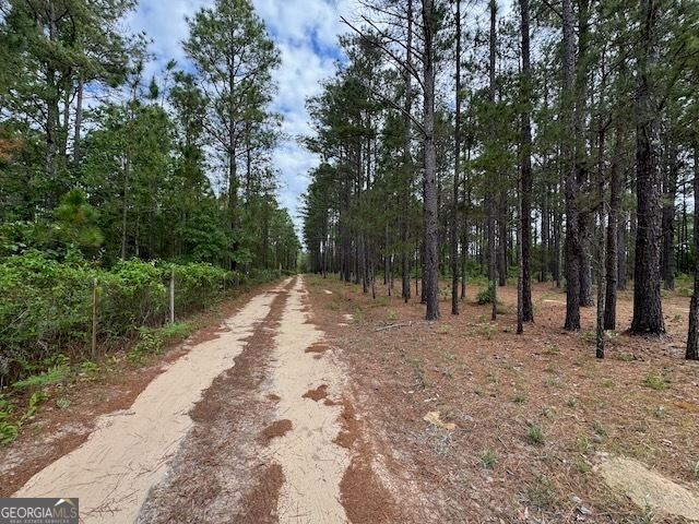 138 Brannon Montgomery Road, Mauk, GA 31058