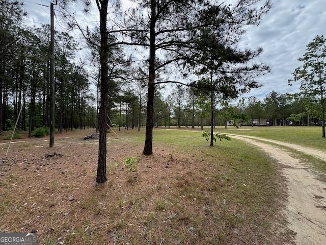 138 Brannon Montgomery Road, Mauk, GA 31058