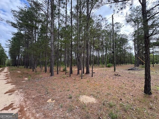 138 Brannon Montgomery Road, Mauk, GA 31058