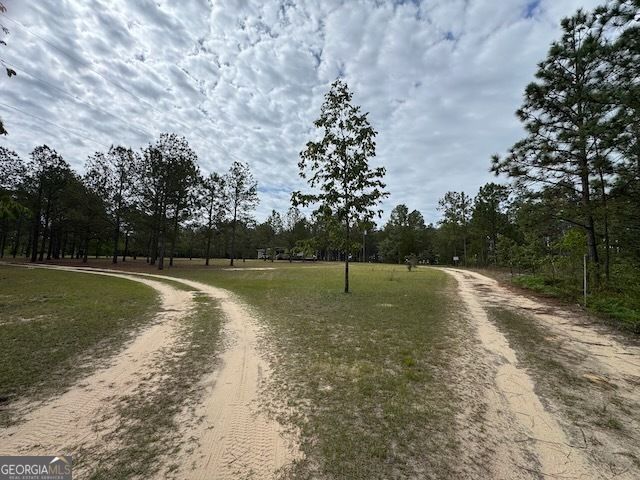 138 Brannon Montgomery Road, Mauk, GA 31058
