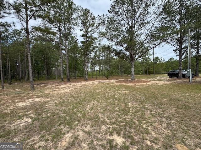 138 Brannon Montgomery Road, Mauk, GA 31058