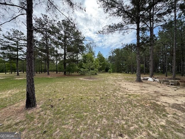 138 Brannon Montgomery Road, Mauk, GA 31058