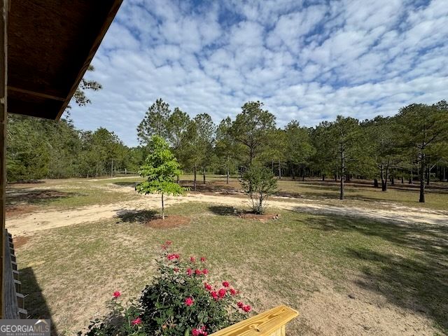 138 Brannon Montgomery Road, Mauk, GA 31058