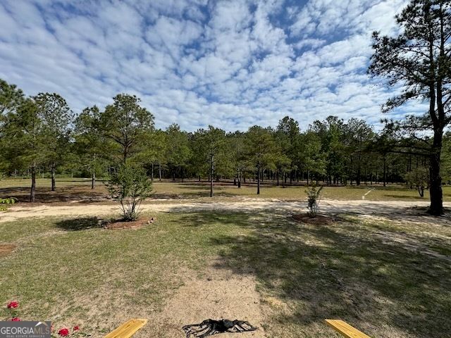 138 Brannon Montgomery Road, Mauk, GA 31058