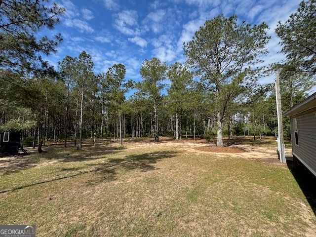 138 Brannon Montgomery Road, Mauk, GA 31058