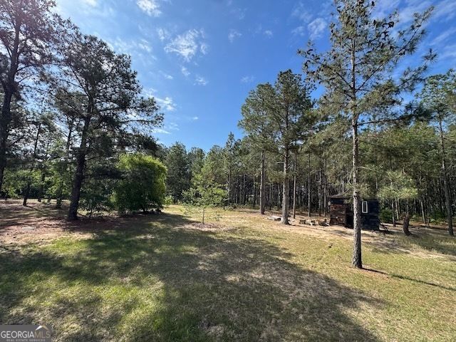 138 Brannon Montgomery Road, Mauk, GA 31058