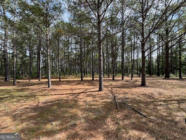 138 Brannon Montgomery Road, Mauk, GA 31058