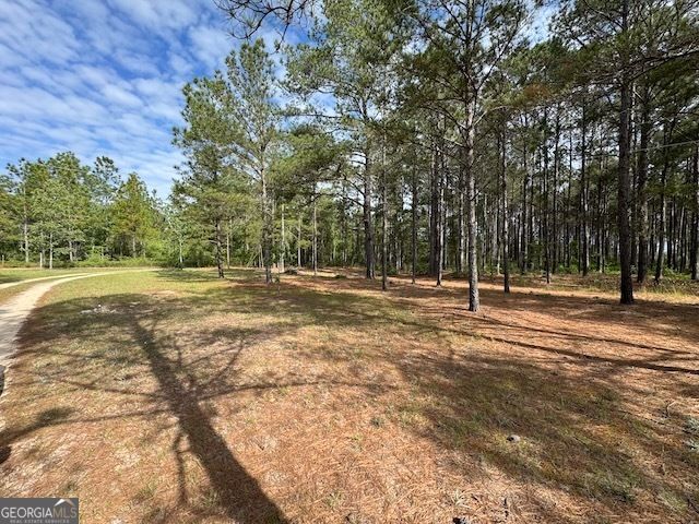 138 Brannon Montgomery Road, Mauk, GA 31058