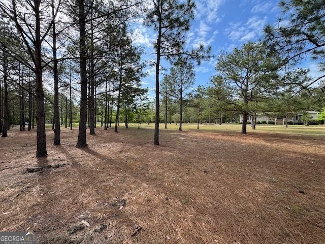 138 Brannon Montgomery Road, Mauk, GA 31058