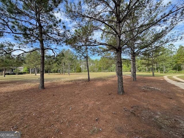 138 Brannon Montgomery Road, Mauk, GA 31058