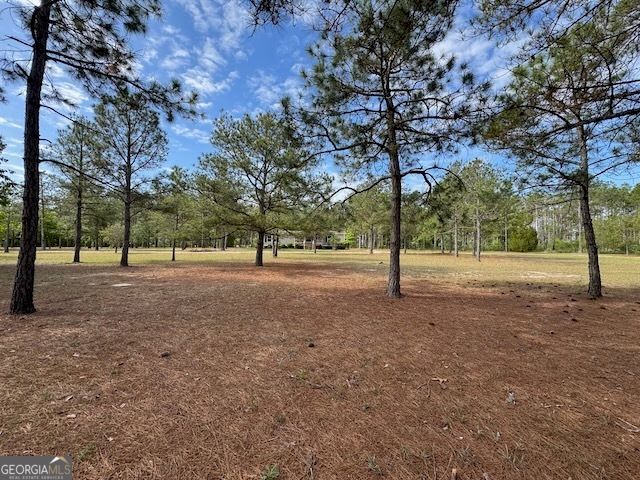 138 Brannon Montgomery Road, Mauk, GA 31058