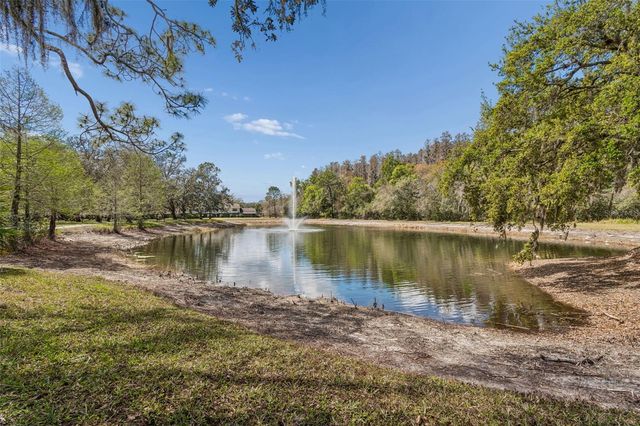 5100 BURCHETTE ROAD 2900, Tampa, FL 33647