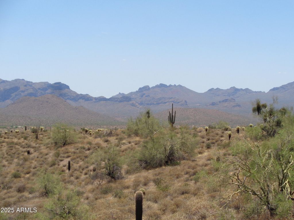 Lot 9-P N Ambush Lane N 9-P, Fort McDowell, AZ 85264 — photo 3