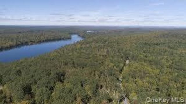 110 Plank Road, Mongaup Valley, NY 12762