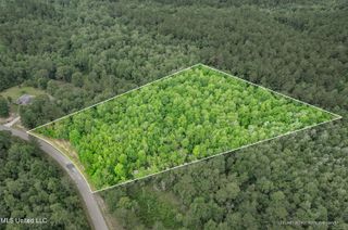 Lot 7 Jacob Michael Drive, Perkinston, MS 39573