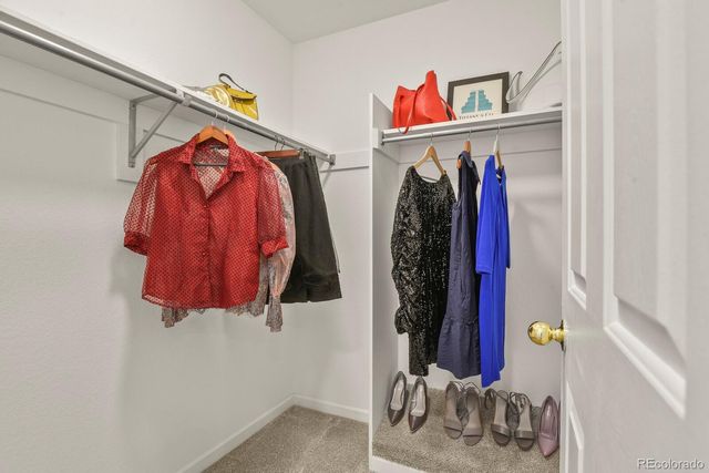 145 S Yarrow Street, Lakewood, CO 80226