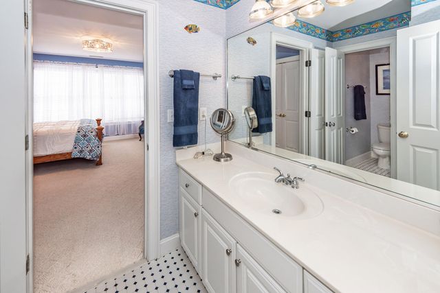 3584 Somerset Hills Court, Mount Pleasant, SC 29466