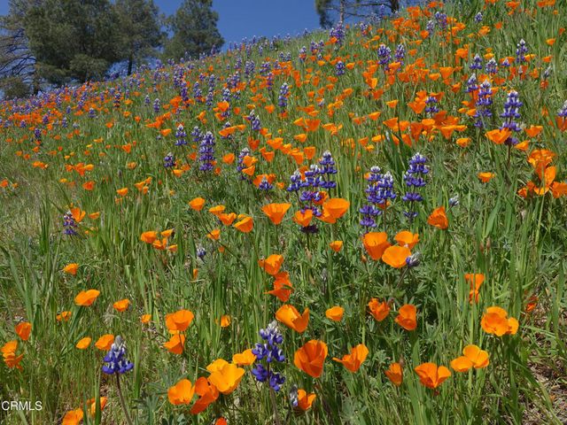 2177 Eastridge Trail, Oxnard, CA 93036