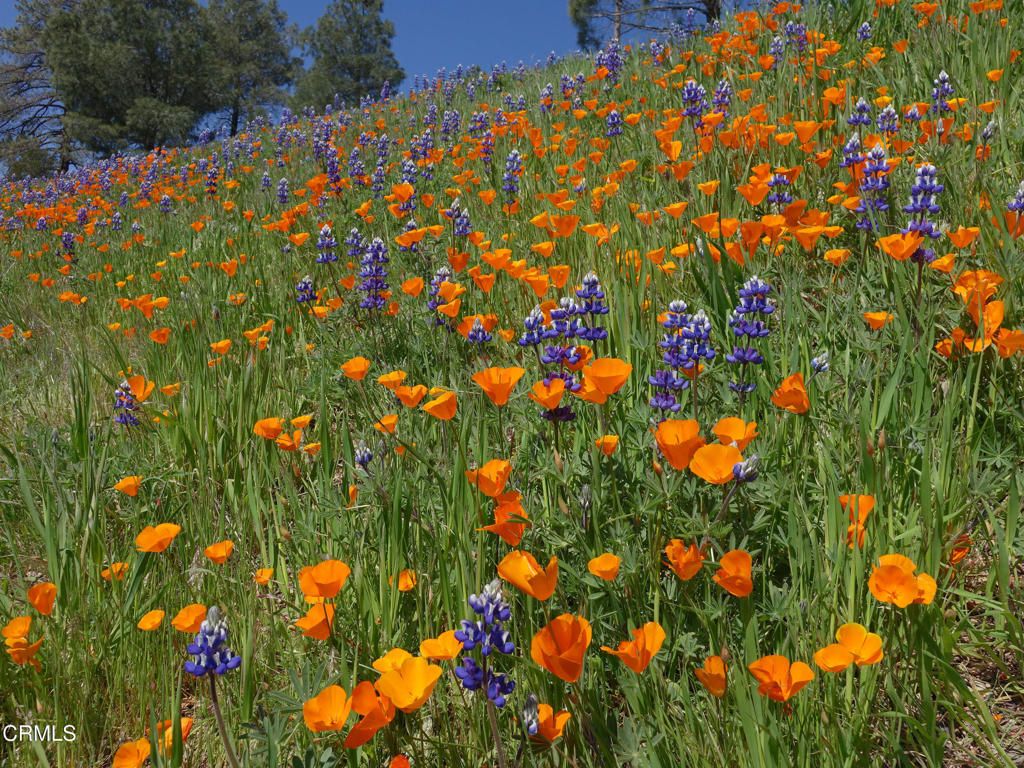 Image 49 of property listing at 2177 Eastridge Trail, Oxnard, CA 93036