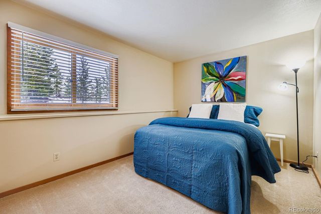 091300 Ryan Gulch Road 91305, Silverthorne, CO 80498